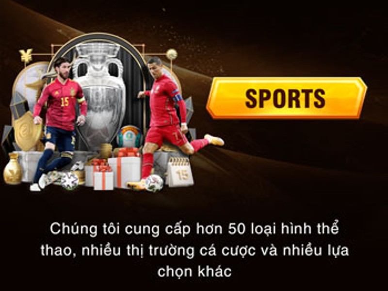 Cá cược Thể thao 33win